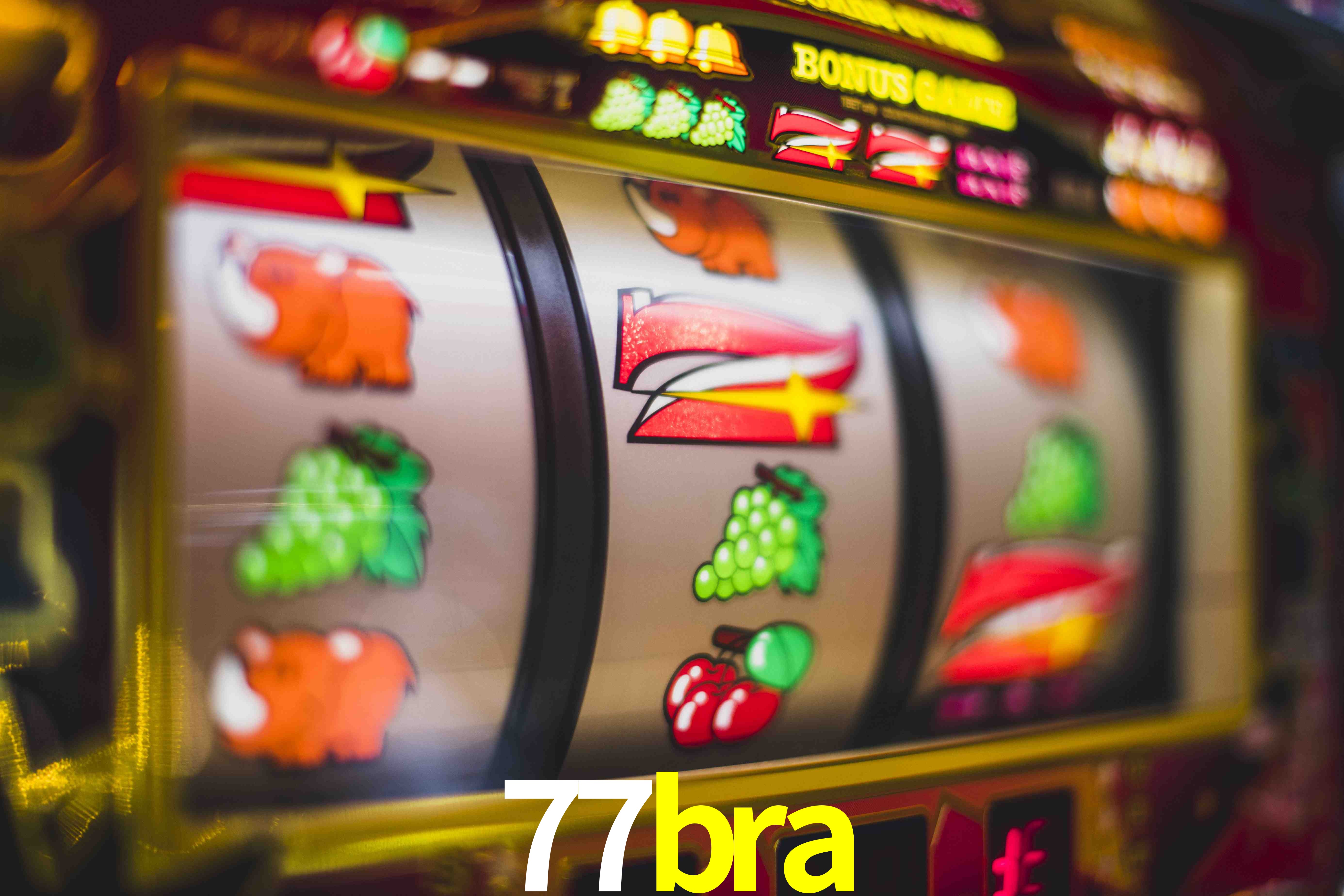 Experiência VIP 77bra